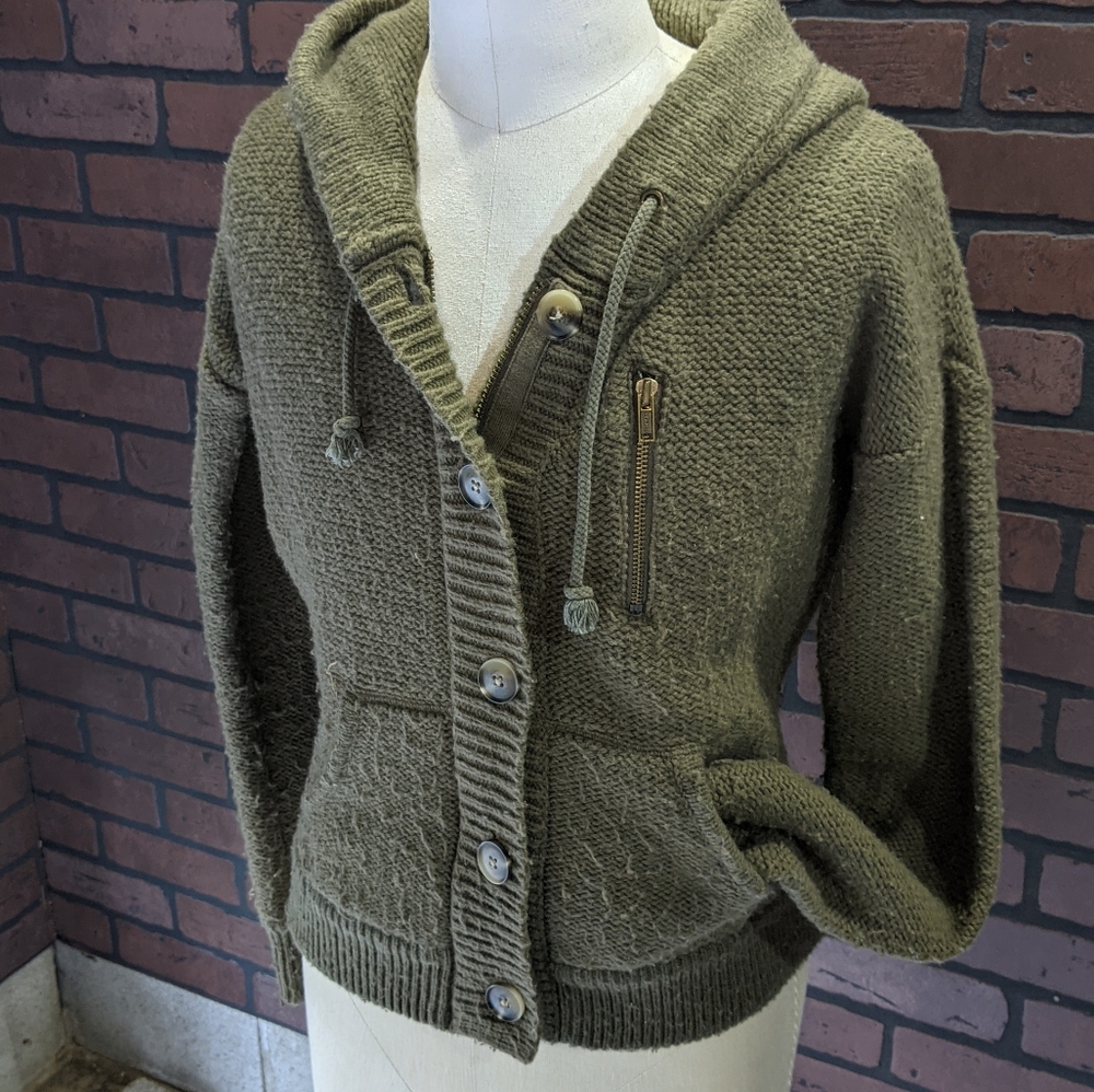 American Eagle Outfitters Hooded Sweater Jacket